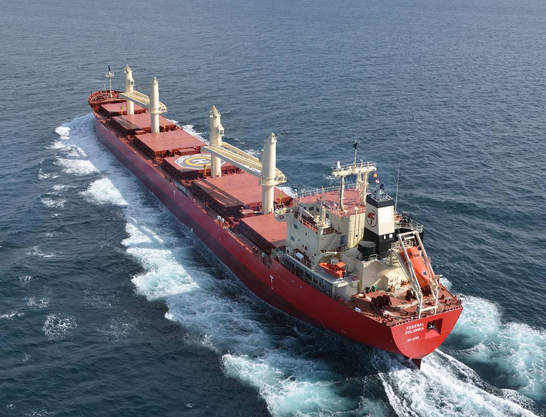 Conventional (Break Bulk) Cargo Ships